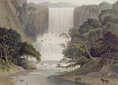 Cascade on Sneuwberg (plate 25 from 
